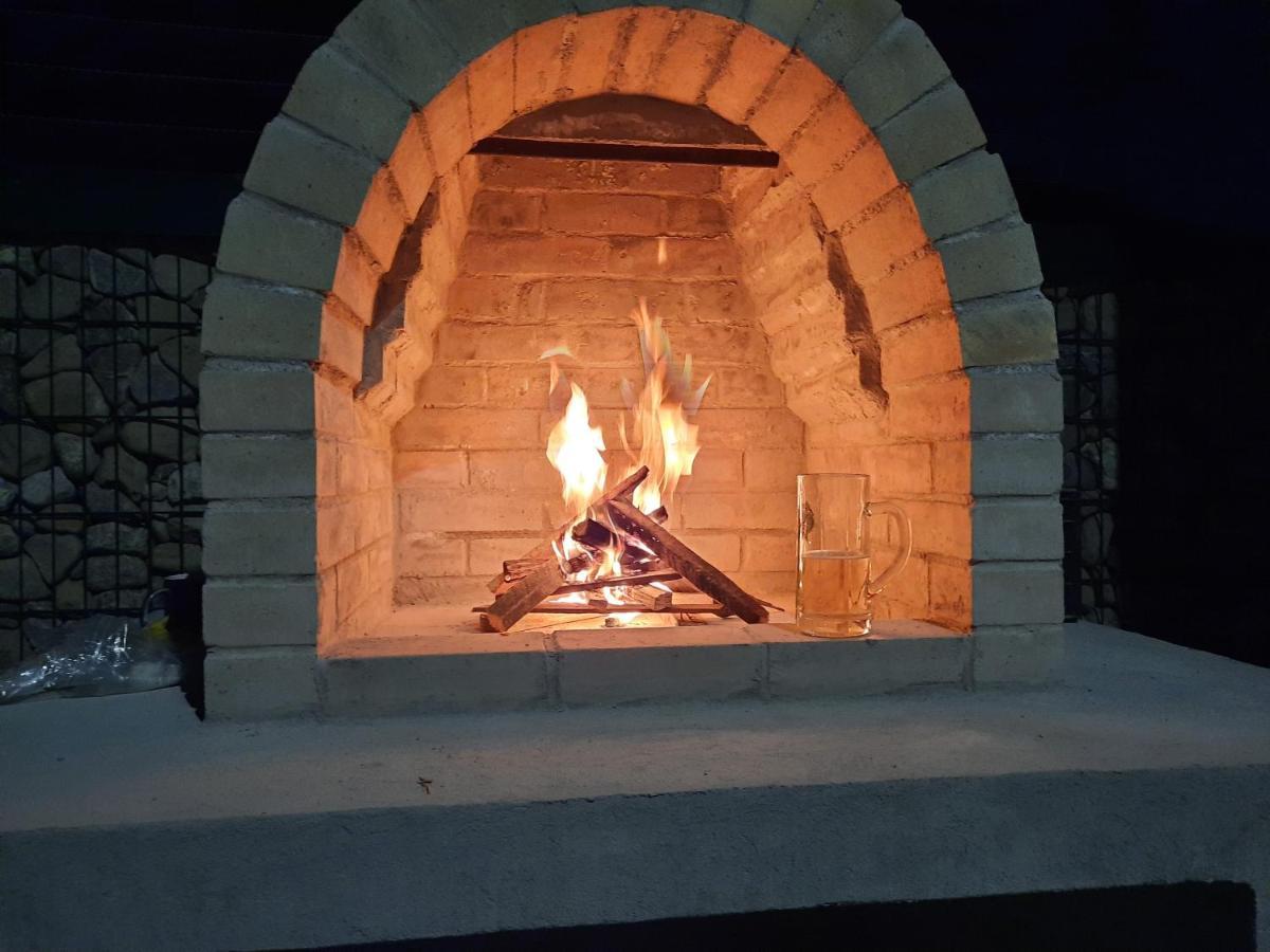 Case de vacanță Casa Teodora