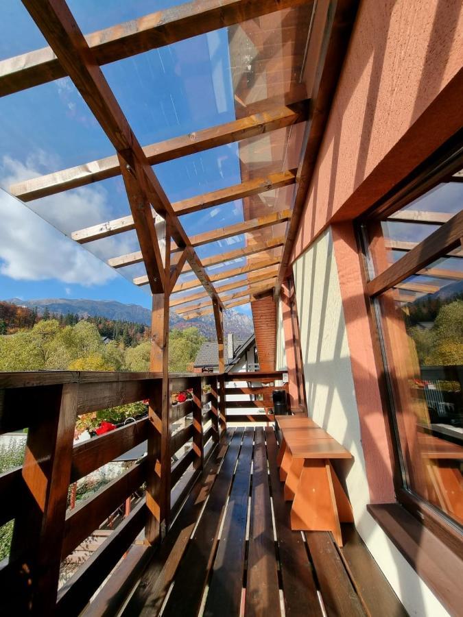 Case de vacanță Casa Teodora